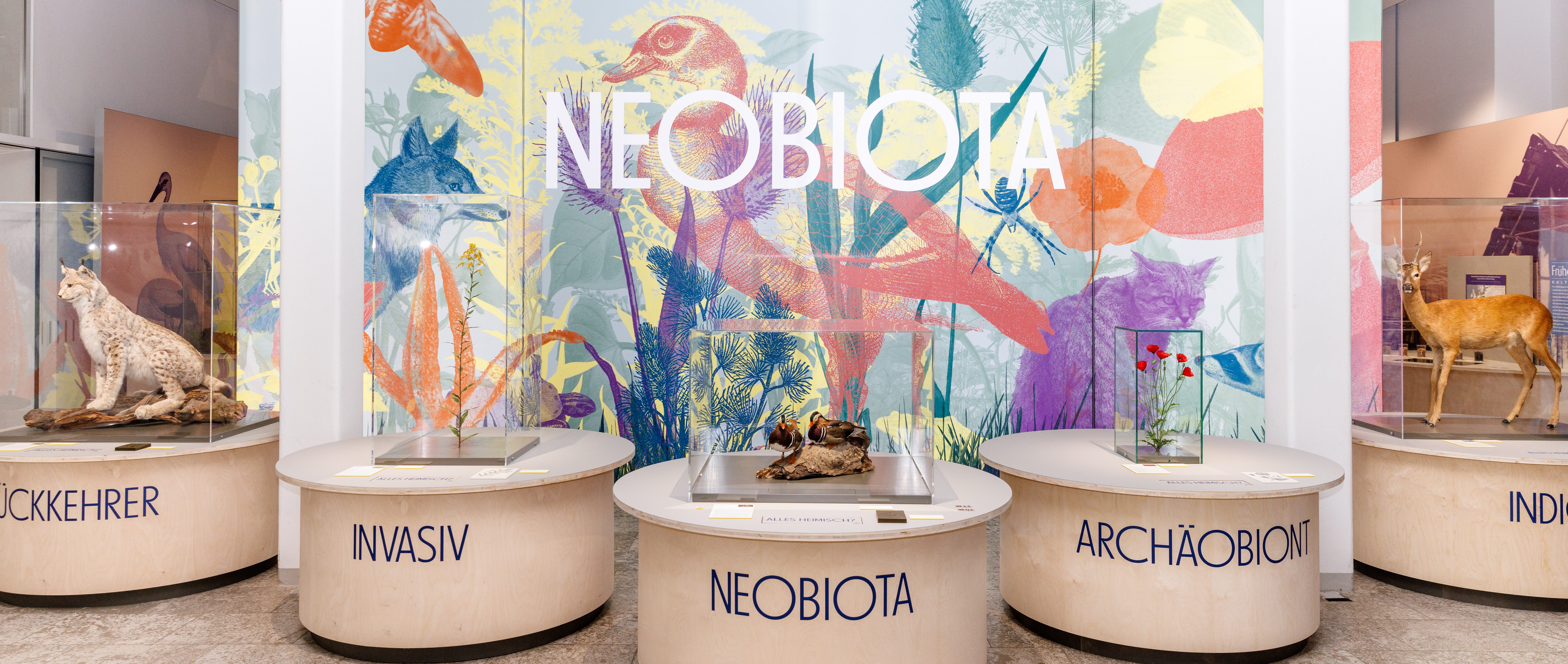 Neobiota - Ausstellungseingang